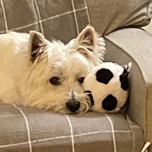 Meet your Posher, Annette